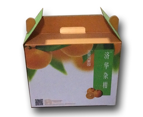 渝中自扣式水果包装盒